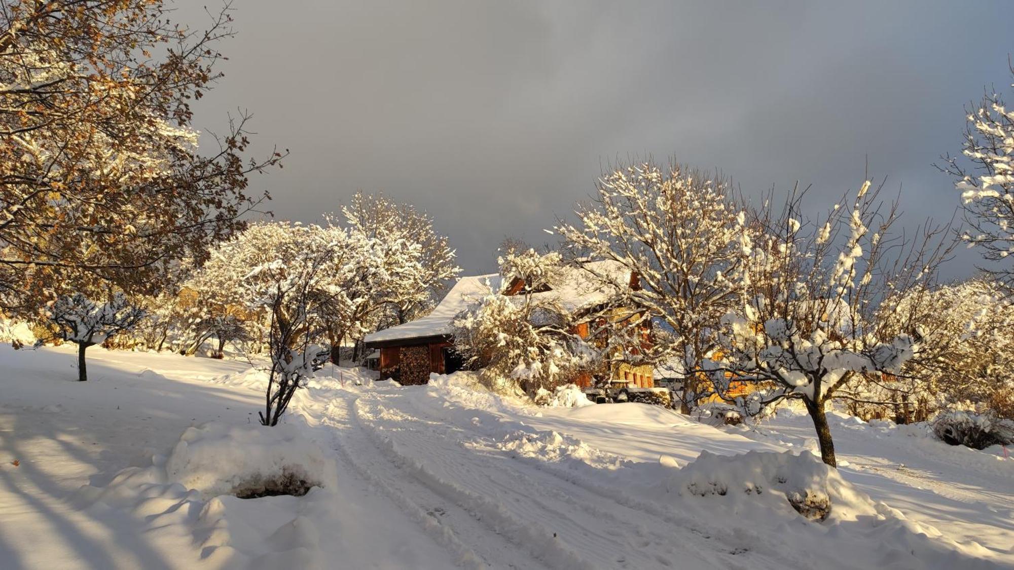Chalet Mounette Ski Sauna Lac Embrun Puy-Sanieres Bagian luar foto